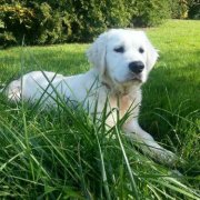 portrait de news28 Femme de 46 ans