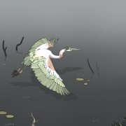 avatar de Pretty Heron