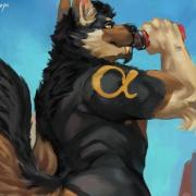 avatar de Frenchwolf