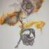 avatar contributeur de Cilia