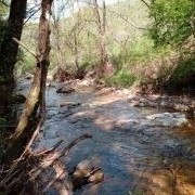 portrait de Horizon34 Femme de 55 ans