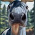 Gerudrak