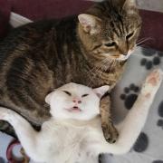 portrait de Solitaire88 Femme de 38 ans