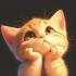 avatar contributeur de MissSandra33