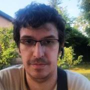 portrait de VulpinJaune Homme de 35 ans