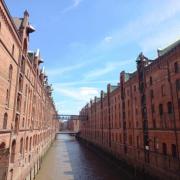 portrait de cijavaisu Homme de 42 ans