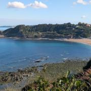 portrait de Poke Femme de 54 ans