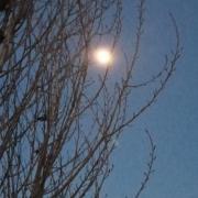 portrait de Cercle Ace Queer de 32 ans