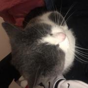 portrait de MAT09 Homme de 20 ans