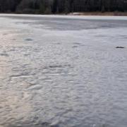 portrait de Hermine13 Femme de 41 ans