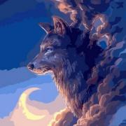 portrait de Woolff Homme de 21 ans