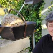 portrait de LOU JE SUIS Femme de 63 ans