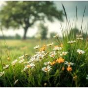 portrait de PluzikL09 Femme de 28 ans