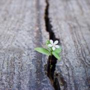 portrait de Cel-A Femme de 43 ans