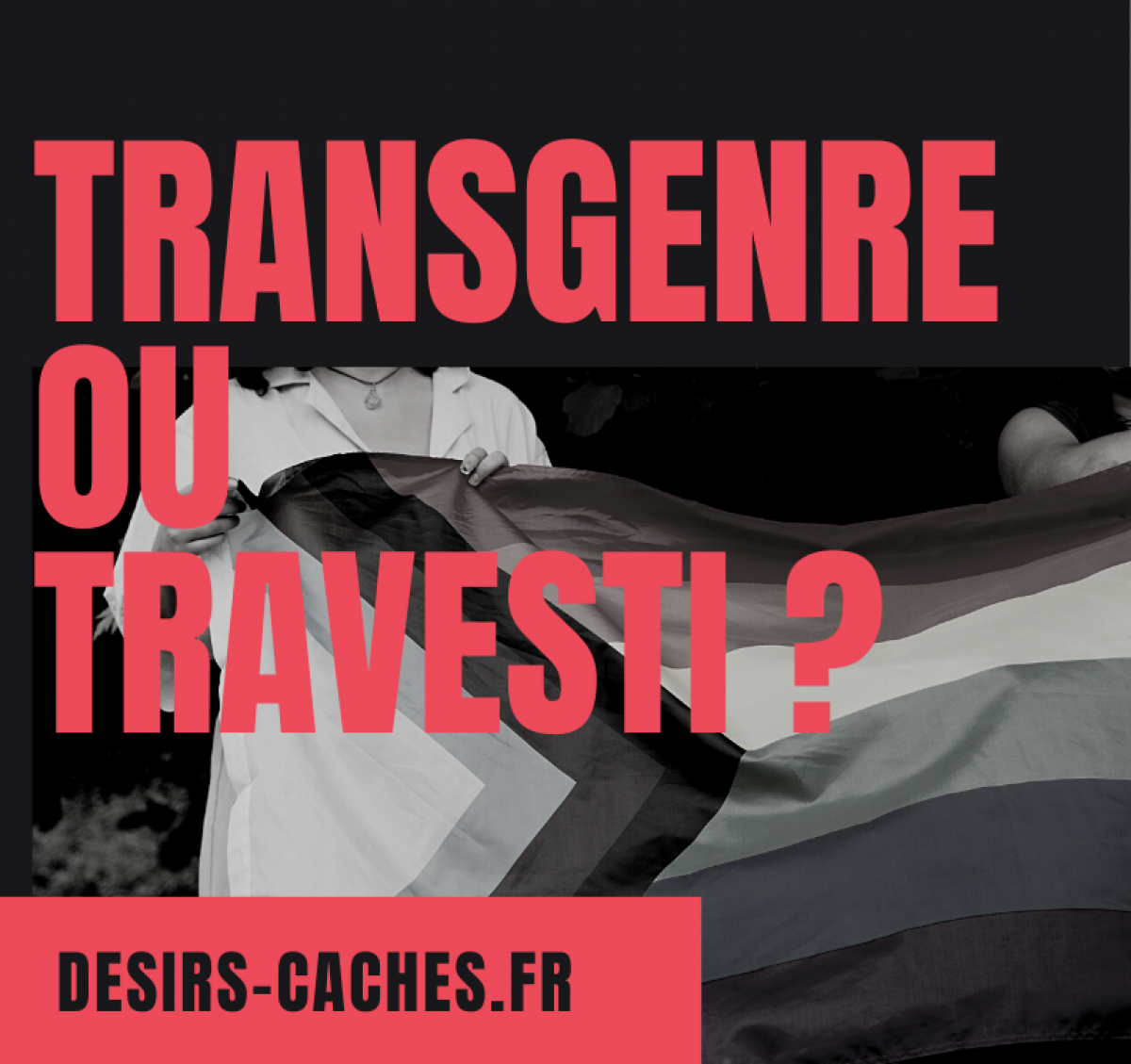 Travestie ou transgenre ?